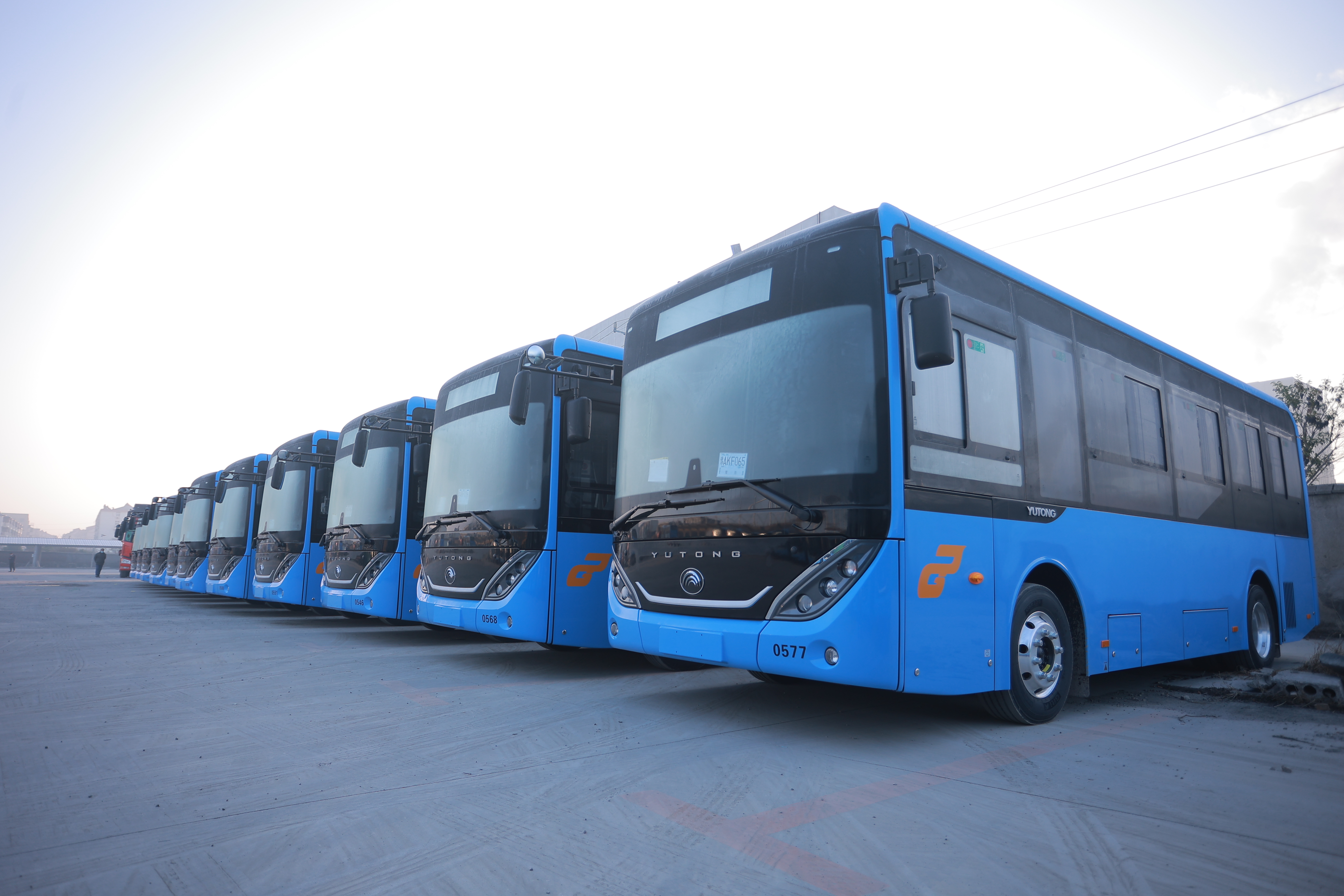 惠民再“上新”！公交集團購置482臺純電動公交車
