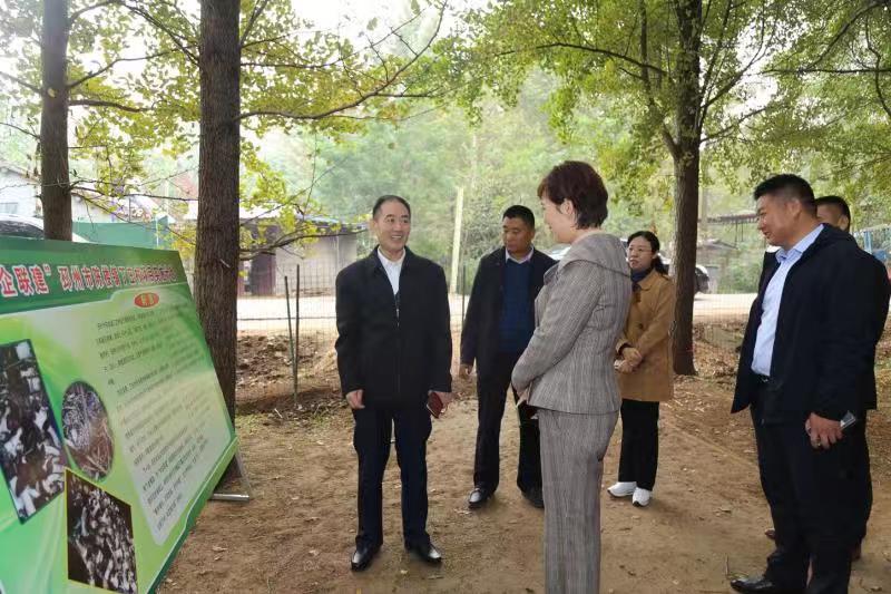 公交集團與丁莊村開展“企村聯(lián)建”活動